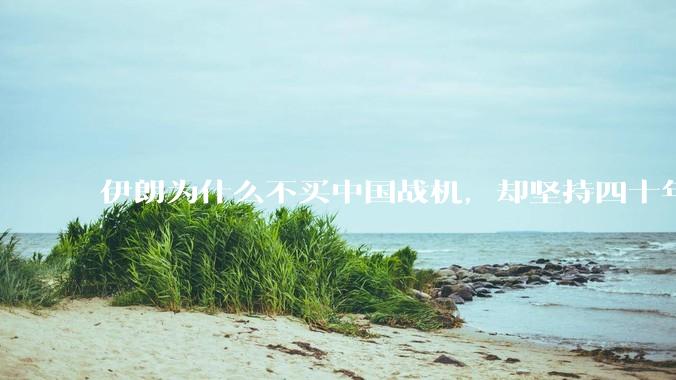 伊朗为什么不买中国战机，却坚持四十年用老旧的苏联米格29、美国F14雄猫战斗机?