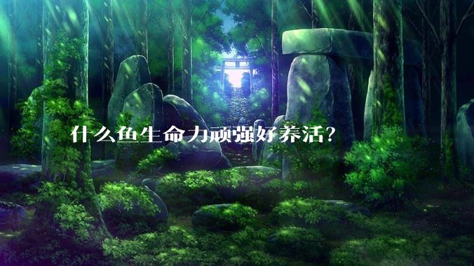 什么鱼生命力顽强好养活？
