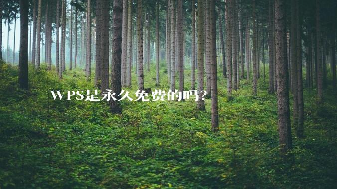 WPS是永久免费的吗？